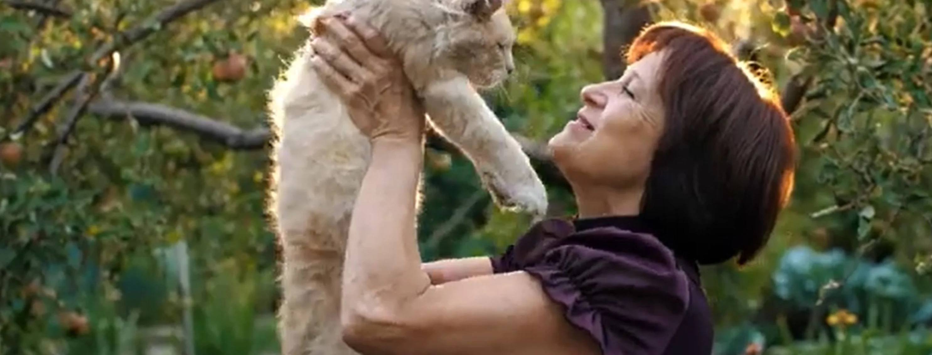 Lady holding cat in air